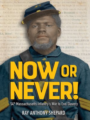 cover image of Now or Never!